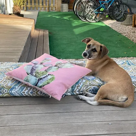 Bed and breakfast Casa D'amare *