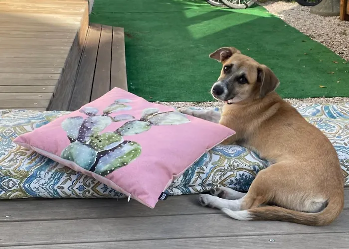 Oda ve Kahvaltı Casa D'amare *